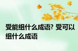 受能组什么成语? 受可以组什么成语