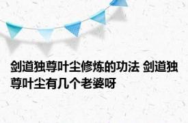 剑道独尊叶尘修炼的功法 剑道独尊叶尘有几个老婆呀