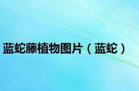 蓝蛇藤植物图片（蓝蛇）