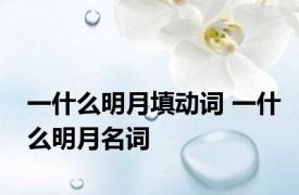 一什么明月填动词 一什么明月名词