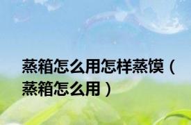 蒸箱怎么用怎样蒸馍（蒸箱怎么用）