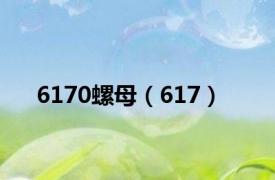 6170螺母（617）
