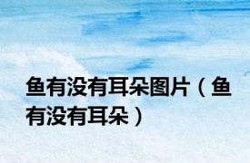 鱼有没有耳朵图片（鱼有没有耳朵）
