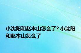 小沈阳和赵本山怎么了? 小沈阳和赵本山怎么了 