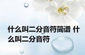 什么叫二分音符简谱 什么叫二分音符