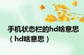 手机状态栏的hd啥意思（hd啥意思）