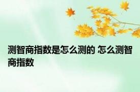 测智商指数是怎么测的 怎么测智商指数