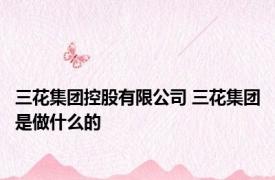 三花集团控股有限公司 三花集团是做什么的