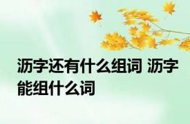 沥字还有什么组词 沥字能组什么词