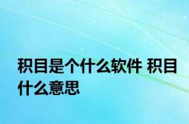 积目是个什么软件 积目什么意思