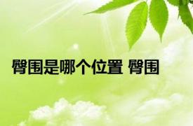 臀围是哪个位置 臀围 