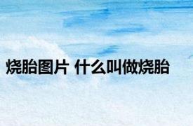 烧胎图片 什么叫做烧胎
