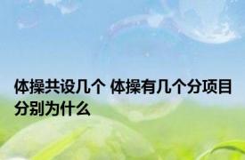 体操共设几个 体操有几个分项目分别为什么