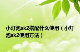 小灯泡sk2搭配什么使用（小灯泡sk2使用方法）