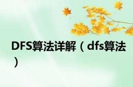 DFS算法详解（dfs算法）