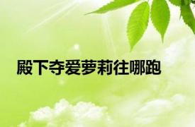 殿下夺爱萝莉往哪跑