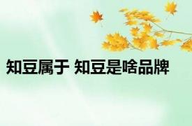 知豆属于 知豆是啥品牌