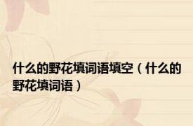 什么的野花填词语填空（什么的野花填词语）