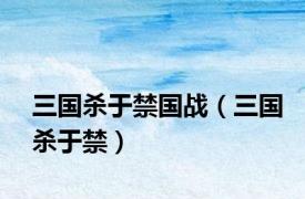 三国杀于禁国战（三国杀于禁）
