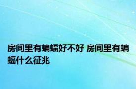 房间里有蝙蝠好不好 房间里有蝙蝠什么征兆