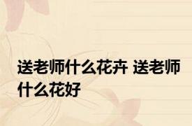送老师什么花卉 送老师什么花好