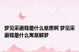 梦见采蘑菇是什么意思啊 梦见采蘑菇是什么寓意解梦