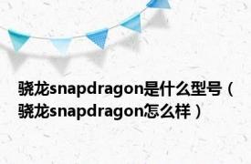 骁龙snapdragon是什么型号（骁龙snapdragon怎么样）