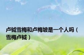 卢钺雪梅和卢梅坡是一个人吗（雪梅卢钺）