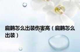 扁鹊怎么出装伤害高（扁鹊怎么出装）