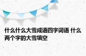什么什么大雪成语四字词语 什么两个字的大雪填空