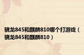 骁龙845和麒麟810哪个打游戏（骁龙845和麒麟810）