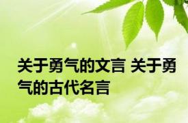 关于勇气的文言 关于勇气的古代名言