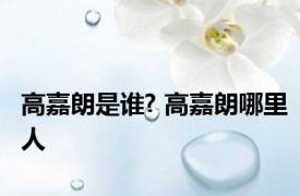 高嘉朗是谁? 高嘉朗哪里人