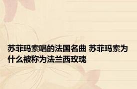 苏菲玛索唱的法国名曲 苏菲玛索为什么被称为法兰西玫瑰