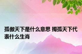 孤傲天下是什么意思 擉孤天下代表什么生肖