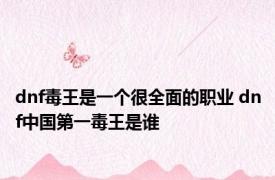 dnf毒王是一个很全面的职业 dnf中国第一毒王是谁