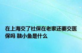 在上海交了社保在老家还要交医保吗 融小鱼是什么