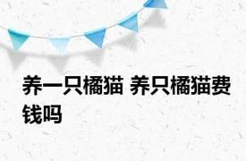 养一只橘猫 养只橘猫费钱吗