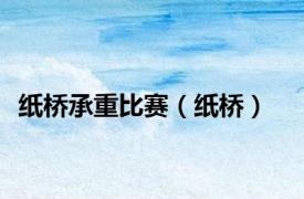 纸桥承重比赛（纸桥）