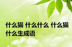 什么猫 什么什么 什么猫什么生成语