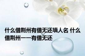什么借荆州有借无还填人名 什么借荆州一一有借无还