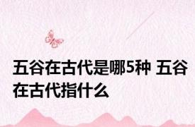 五谷在古代是哪5种 五谷在古代指什么