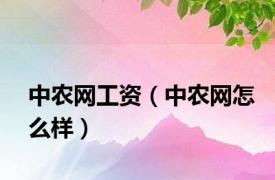 中农网工资（中农网怎么样）