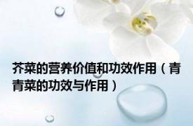 芥菜的营养价值和功效作用（青青菜的功效与作用）