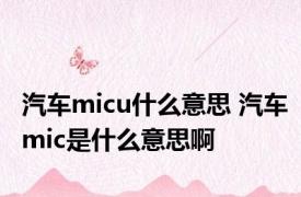 汽车micu什么意思 汽车mic是什么意思啊