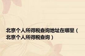 北京个人所得税查询地址在哪里（北京个人所得税查询）