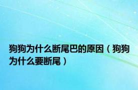 狗狗为什么断尾巴的原因（狗狗为什么要断尾）