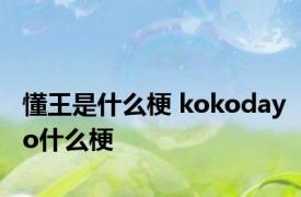 懂王是什么梗 kokodayo什么梗