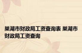 巢湖市财政局工资查询表 巢湖市财政局工资查询 