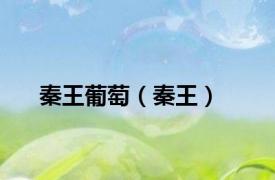 秦王葡萄（秦王）